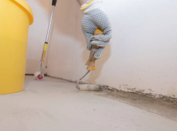 Best Real Estate Pest Inspections  in West Dundee, IL